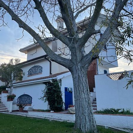 Willa Il Giardino Degli Ulivi Citta Sant'Angelo Zewnętrze zdjęcie