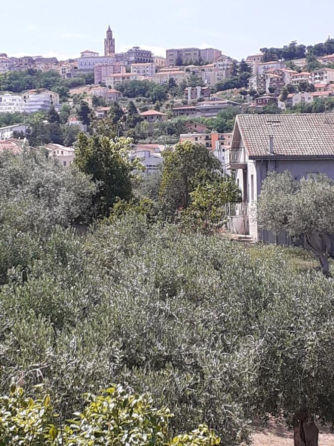 Willa Il Giardino Degli Ulivi Citta Sant'Angelo Zewnętrze zdjęcie